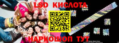 хмурый Кингисепп