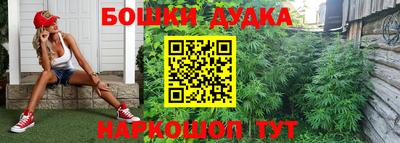 хмурый Кингисепп