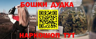 хмурый Кингисепп