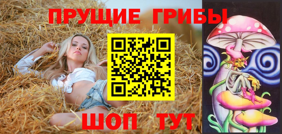 Псилоцибиновые грибы GOLDEN TEACHER Красноярск